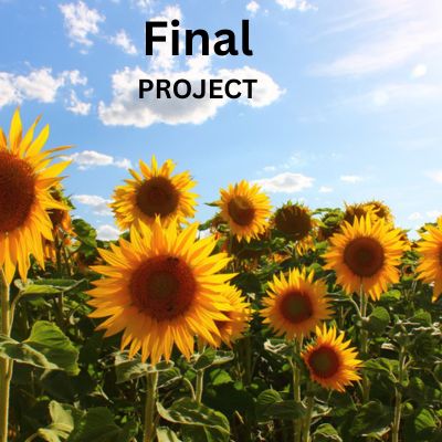 Final Projet Image