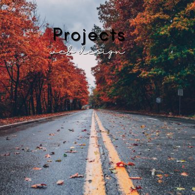 Project Web Design Image