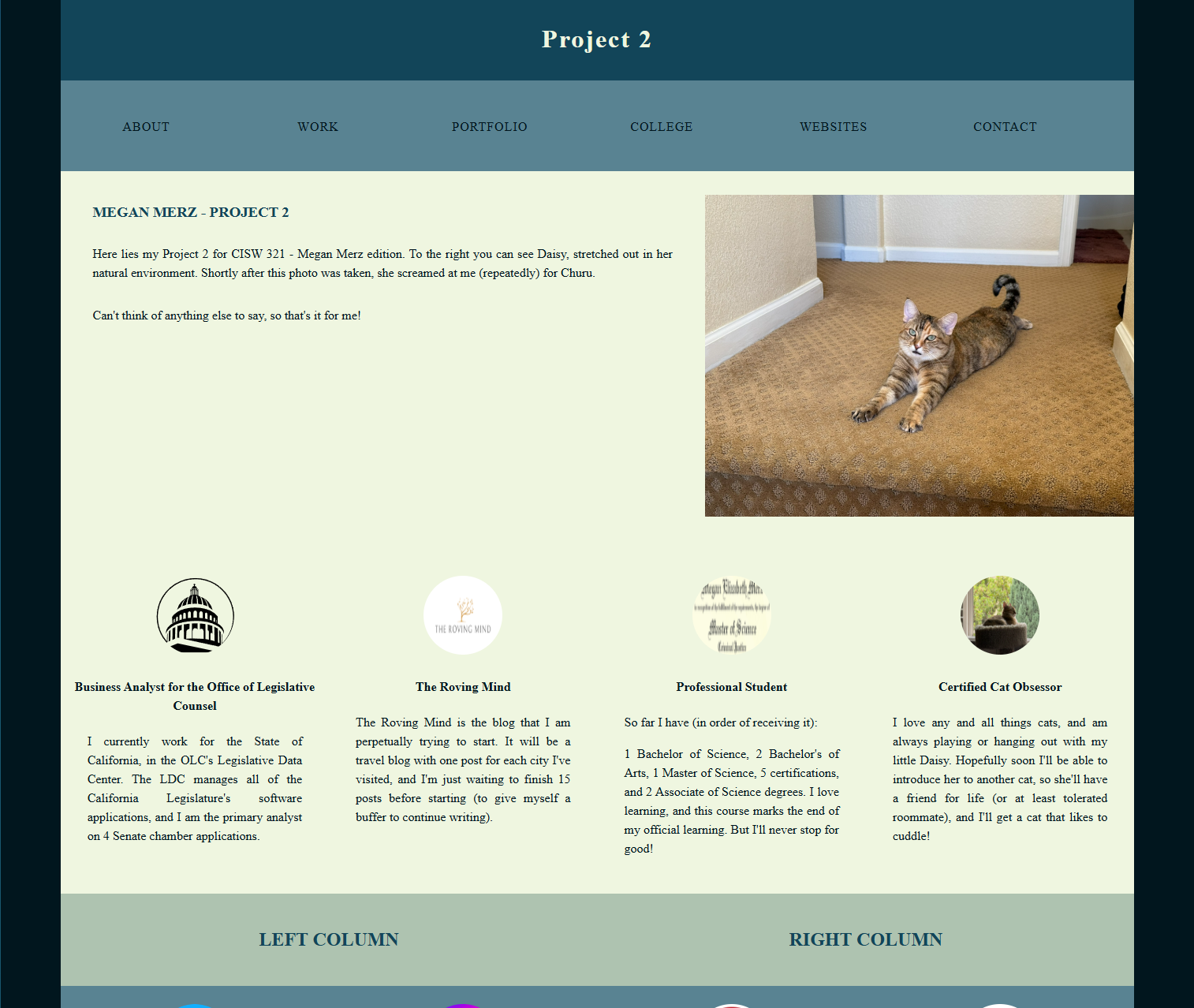 project 2 page