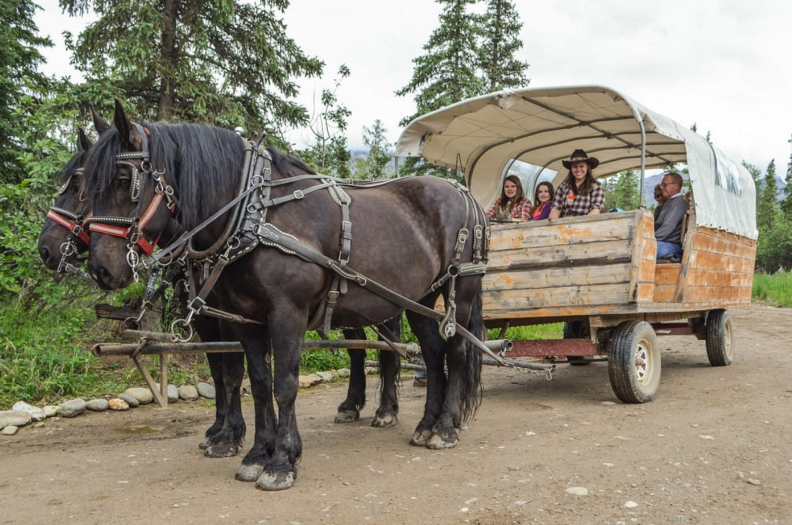 image of wagon with horses