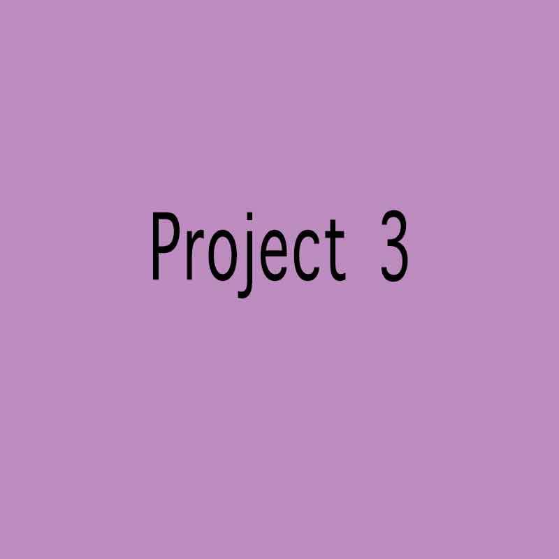 project 3