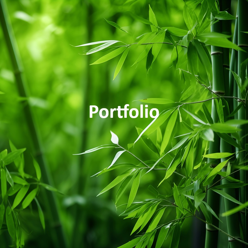 portfolio