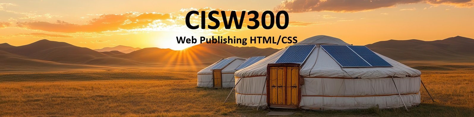 Banner for CISW 300