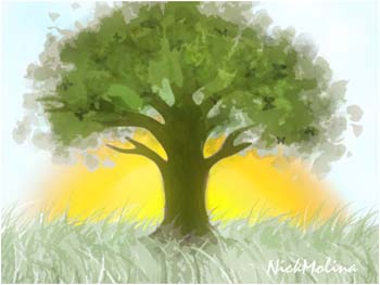 nickmolinatree