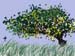 MargaretStelmok_tree