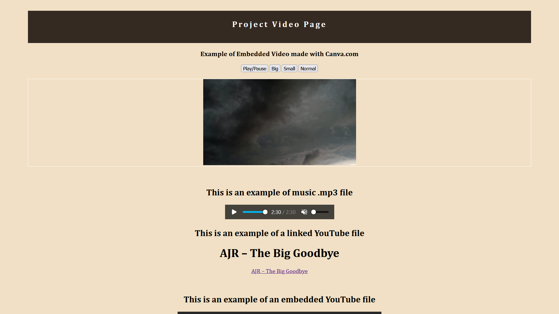 Project video screenshot