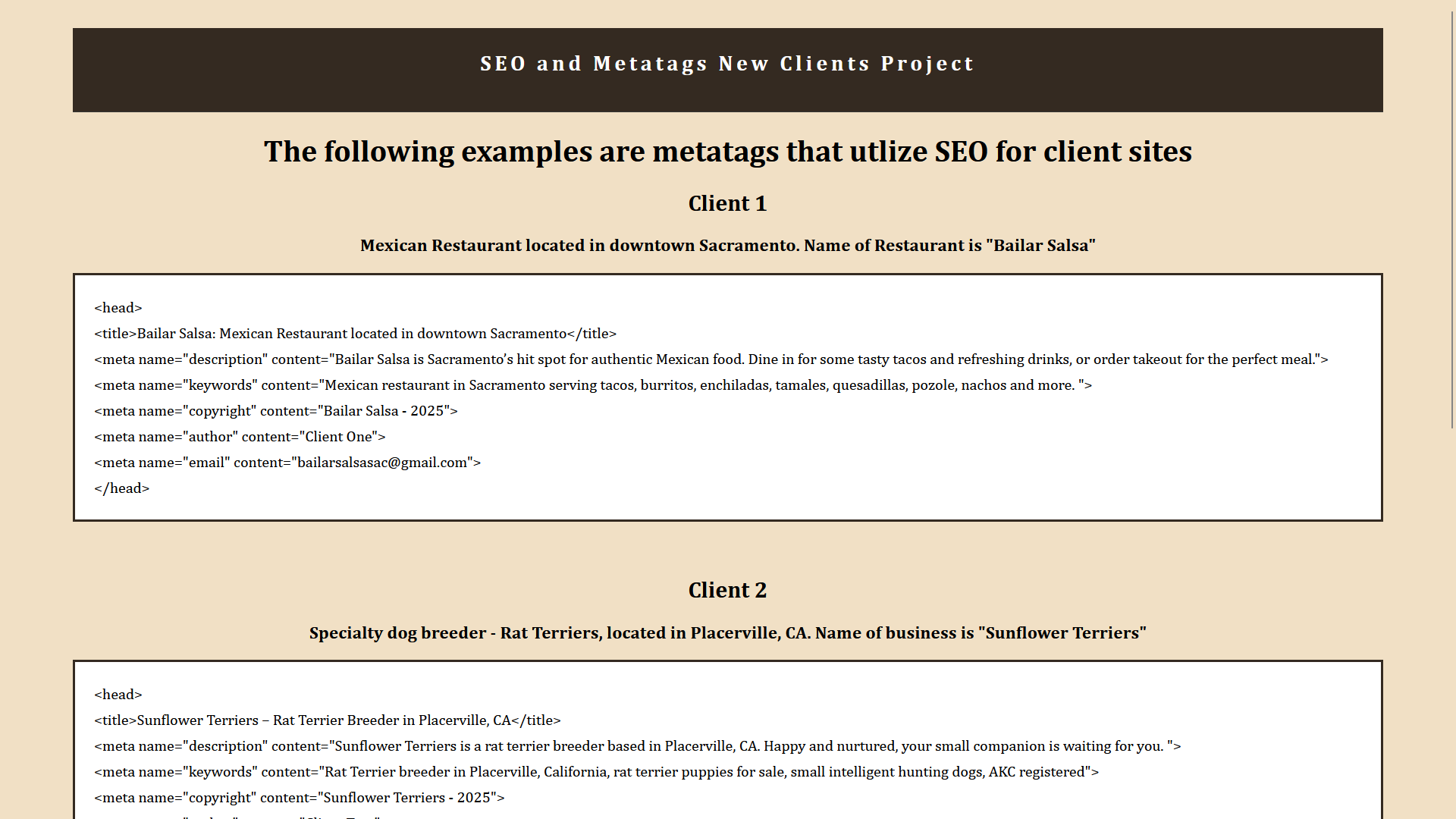 SEO and Metatags Project screenshot