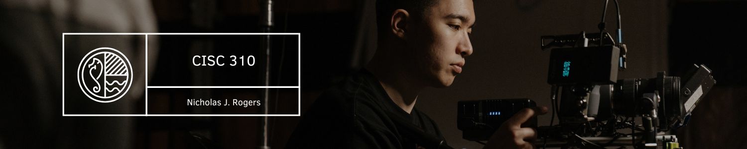 Banner CISC 310