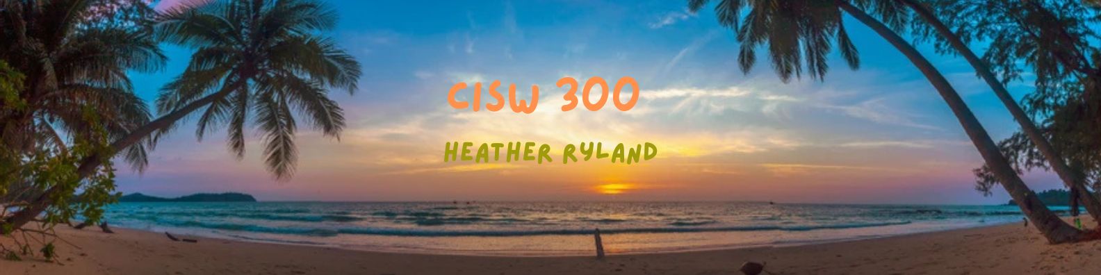 CISW 300 Banner
