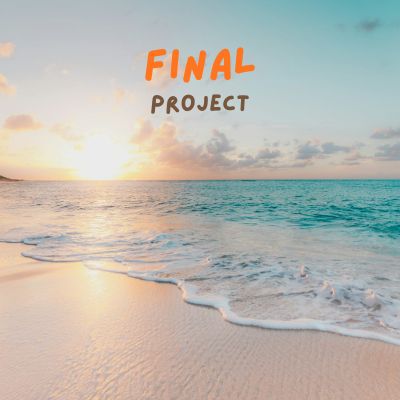 Final Project Image