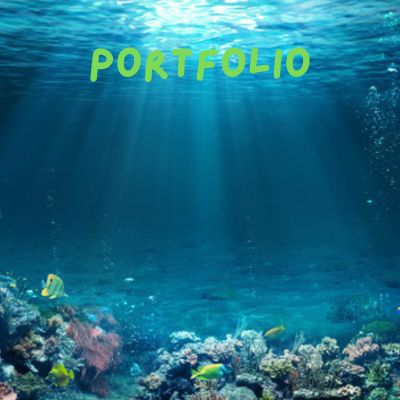 Portfolio Image