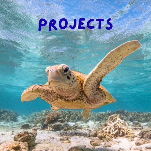 Web Design Project Image