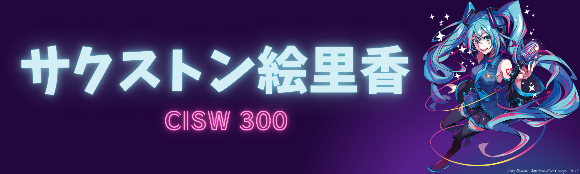 CISW 300 Banner