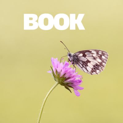 Book Tutorial Image