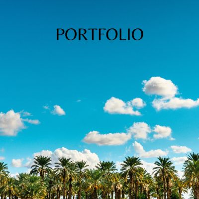 Portfolio Image