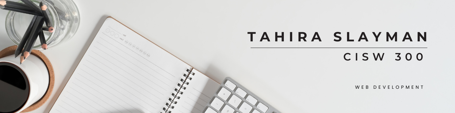 CISW 300 Banner Image