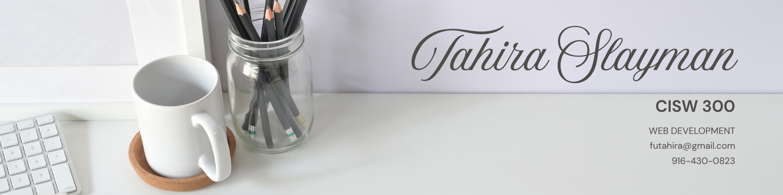 CISW 300 Banner Image