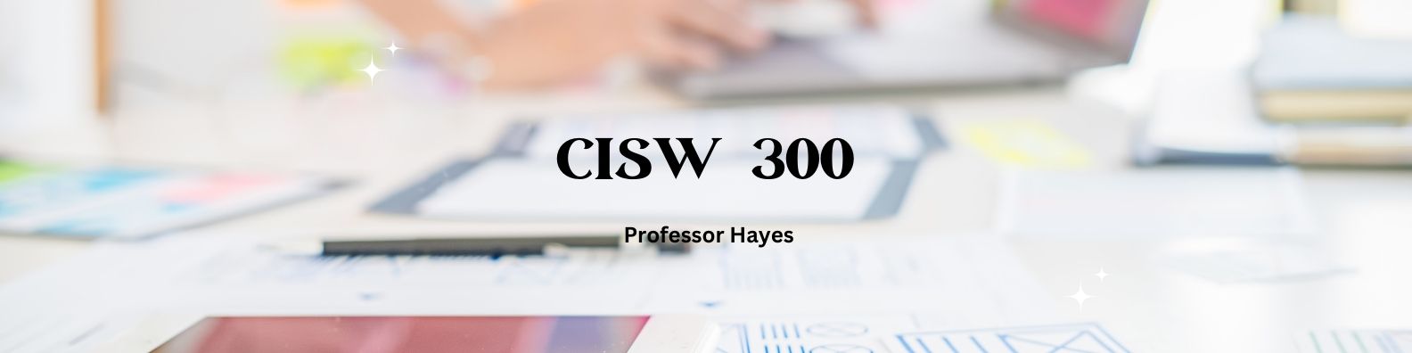 CISW 300 banner