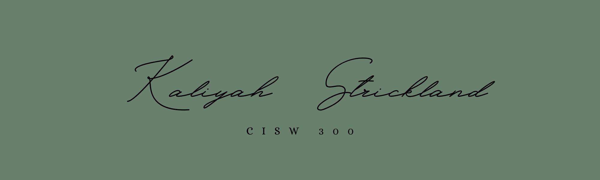 CISW 300 banner