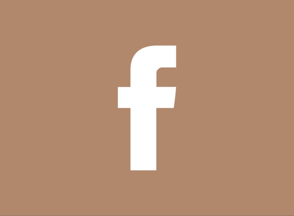 facebook icon for website