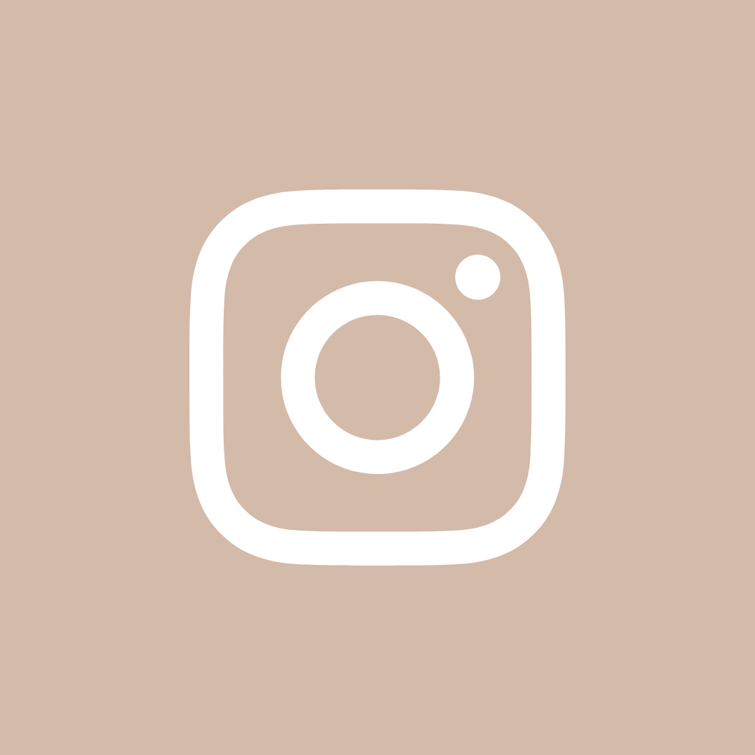 instagram icon for website