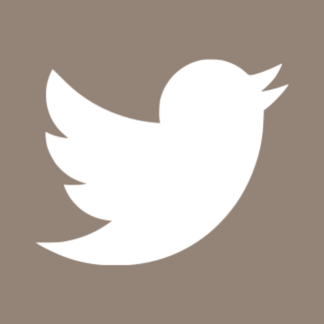 twitter icon for website