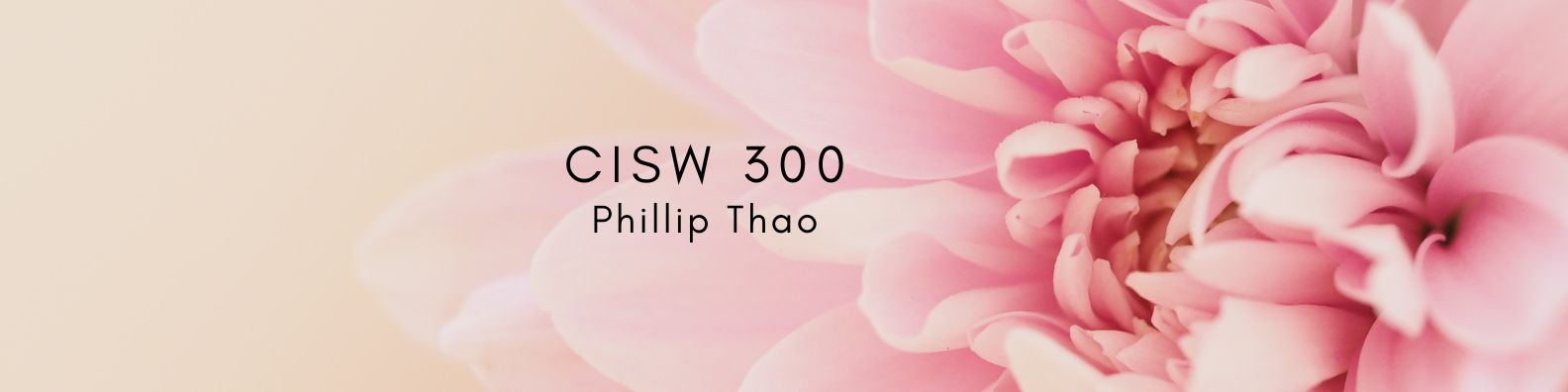 CISW 300 banner