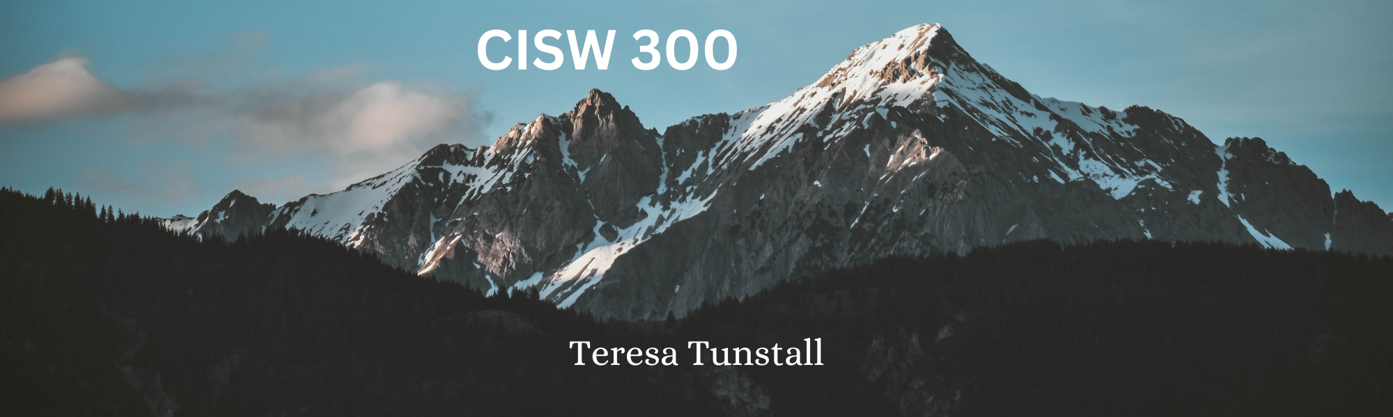 CISW 300 banner