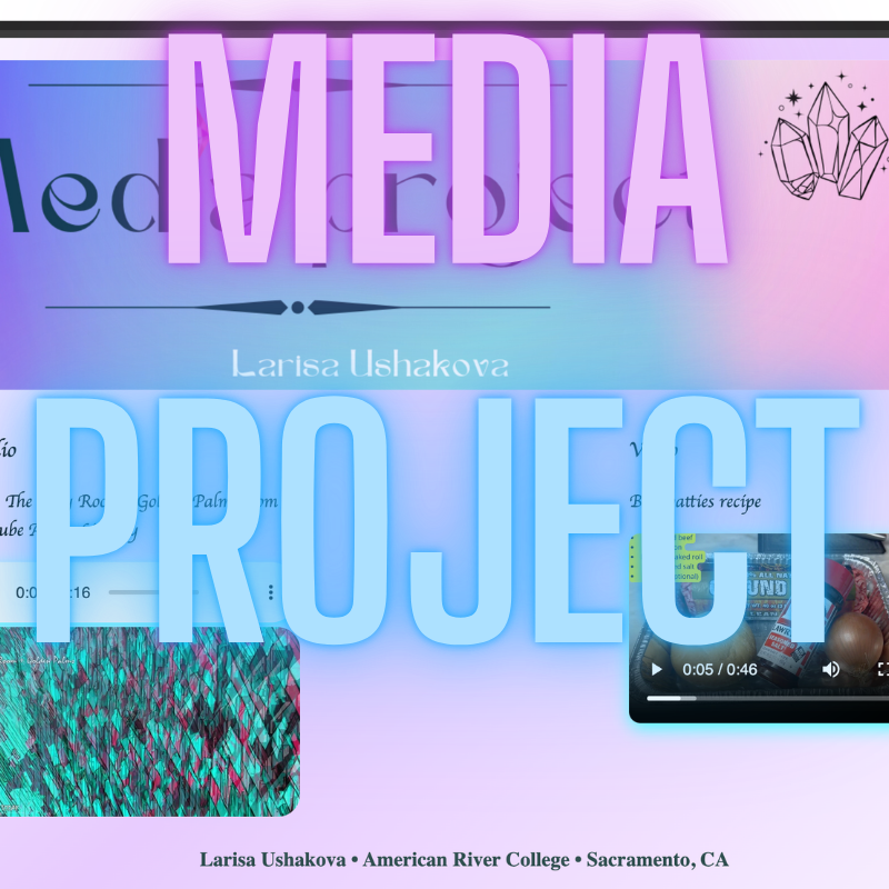 Media Project