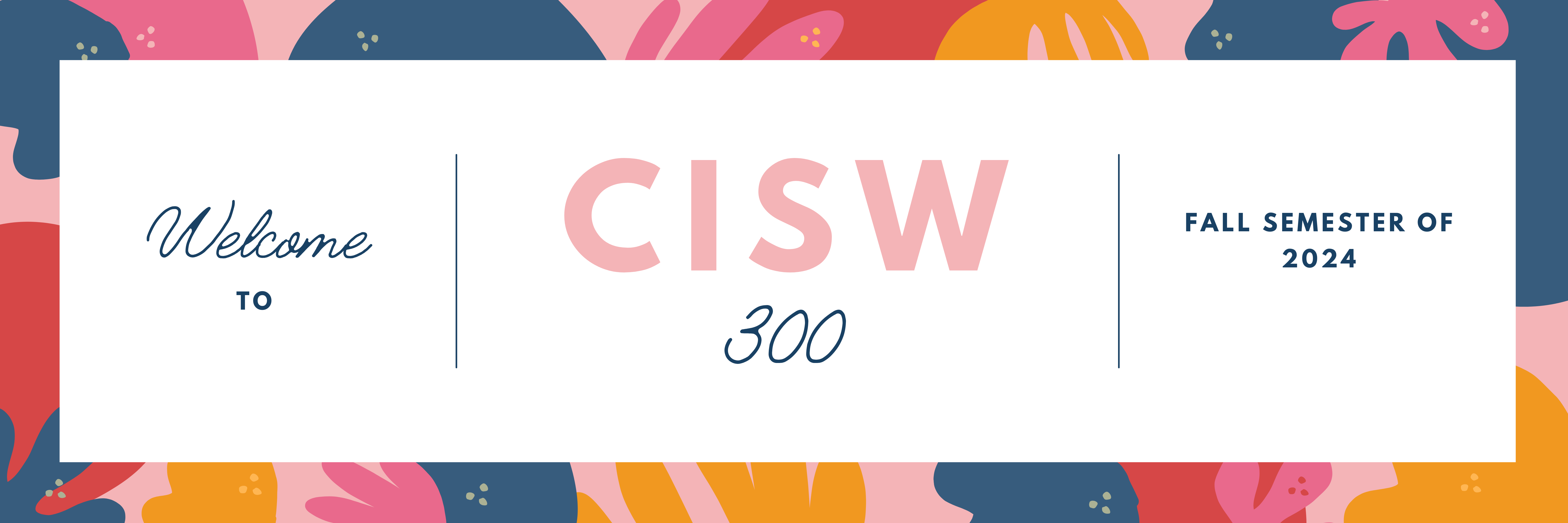 CISW 300 banner